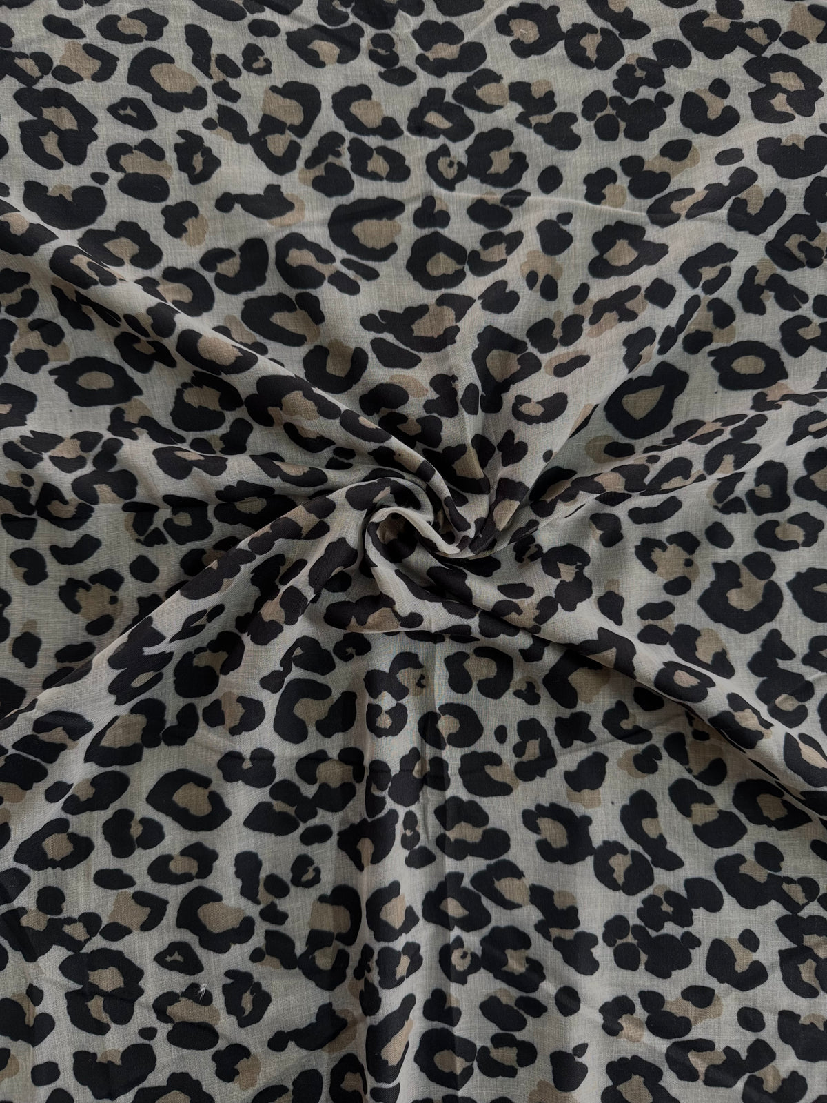 Arctic Jaguar Modal Lawn