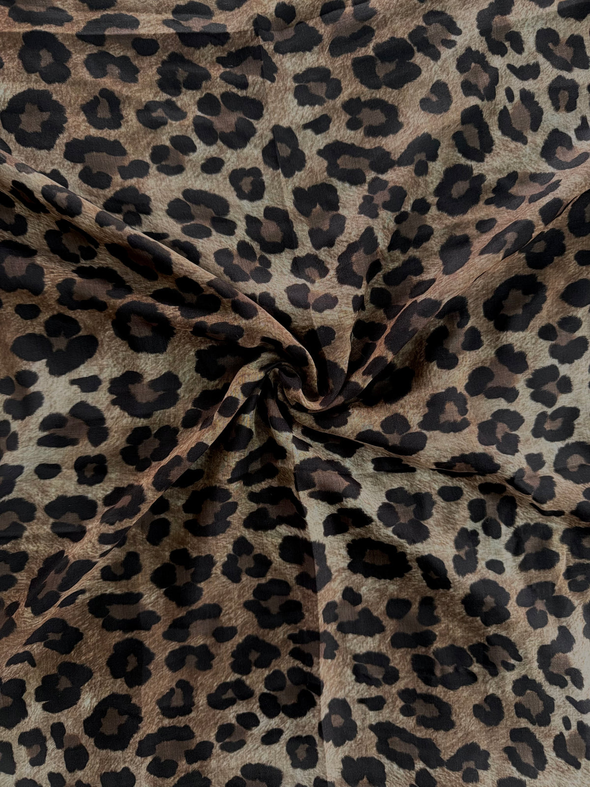 Phantom Jaguar Modal Lawn