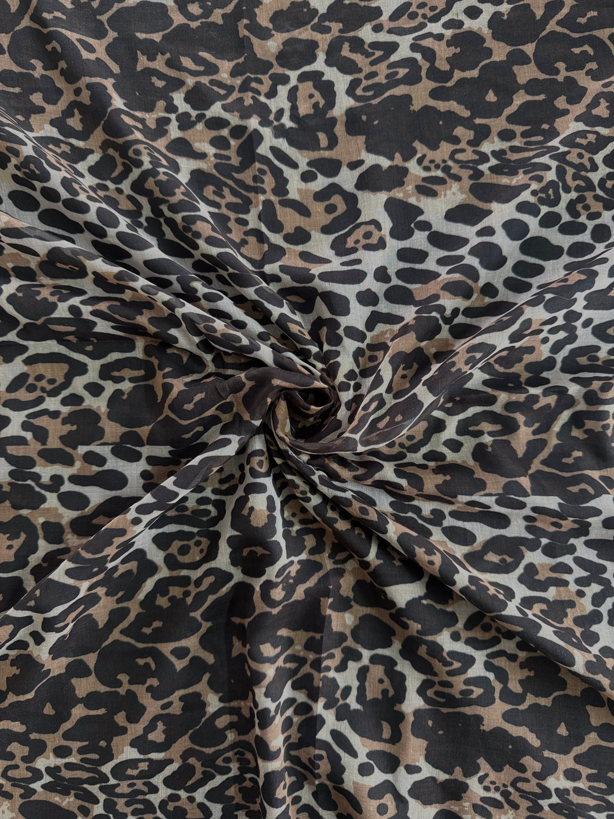 Clouded Leopard Modal Lawn